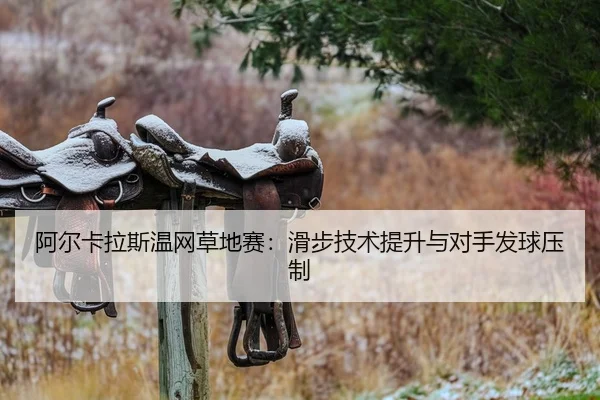 a-er-ka-la-si-wen-wang-cao-di-sai-hua-bu-ji-shu-ti-sheng-yu-dui-shou-fa-qiu-ya-zhi-2-323.jpg